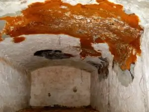 Fungo domestico: perché è il nemico più subdolo del legno